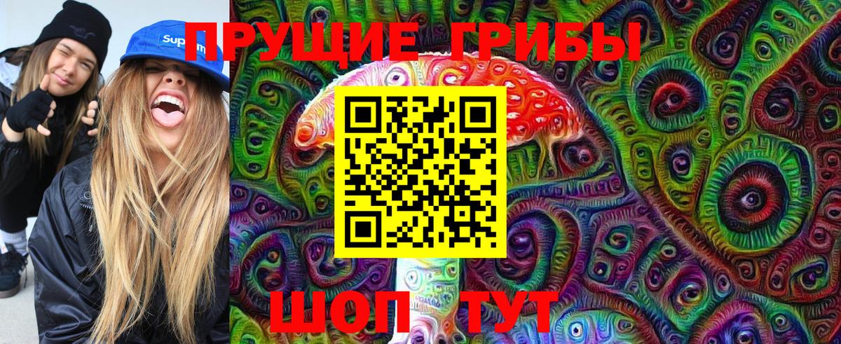 Благодарный  Псилоцибиновые грибы GOLDEN TEACHER  Псилоцибиновые грибы Psilocybe  где купить наркоту  Вход с VPN 